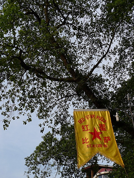 P1000605_調整大小.jpg P1000605_調整大小.jpg