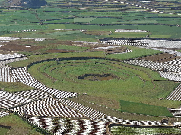 P1010345_調整大小.JPG P1010345_調整大小.JPG