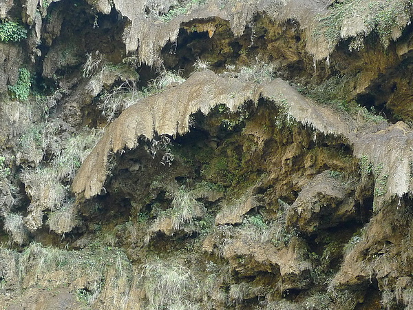 P1010309_調整大小.JPG P1010309_調整大小.JPG