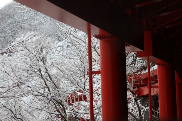 041_IMG_9398 041_IMG_9398