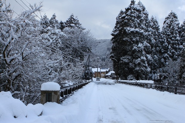 053_IMG_9359 053_IMG_9359