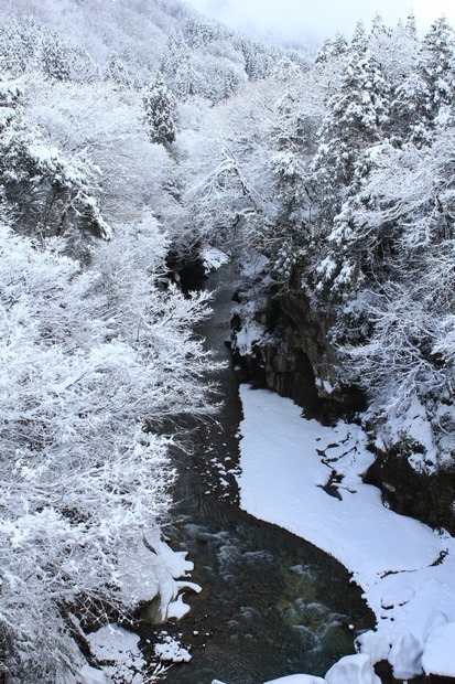 071_IMG_9361 071_IMG_9361