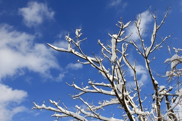 111_IMG_9389 111_IMG_9389