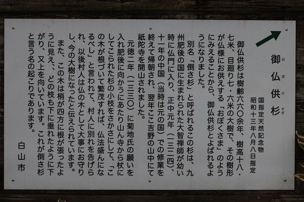 213_IMG_0380 213_IMG_0380