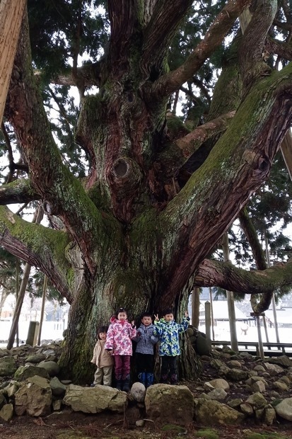 231_IMG_20190203_132305 231_IMG_20190203_132305