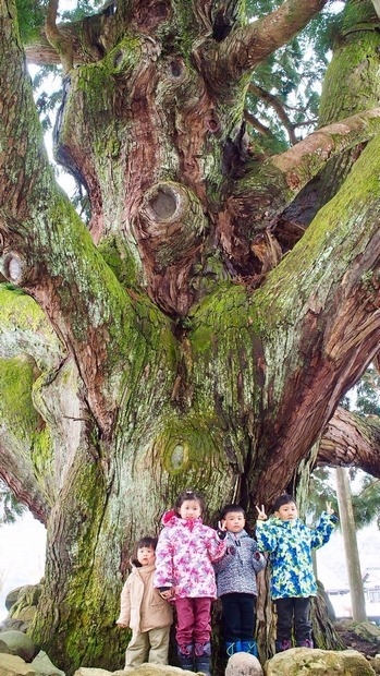 233_2019-小松、一里廬、金澤滑雪過年旅遊_190207_0038 233_2019-小松、一里廬、金澤滑雪過年旅遊_190207_0038