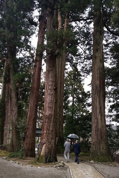 281_IMG_20190203_135010 281_IMG_20190203_135010