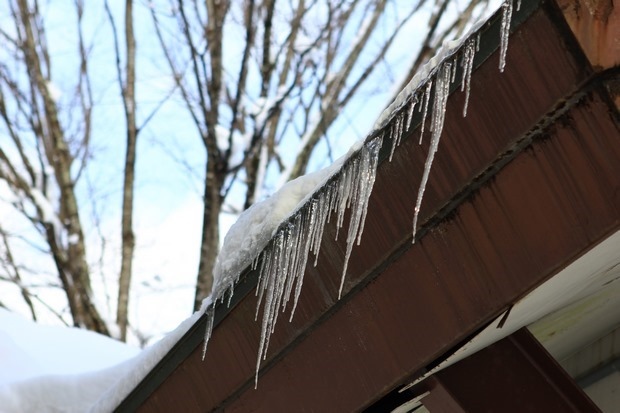 311_IMG_9804 311_IMG_9804