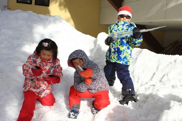 313_IMG_9806 313_IMG_9806