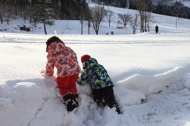 321_IMG_9811 321_IMG_9811