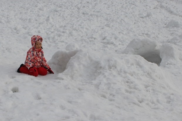 73_IMG_0133 73_IMG_0133