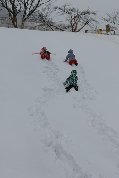 33_IMG_9981 33_IMG_9981