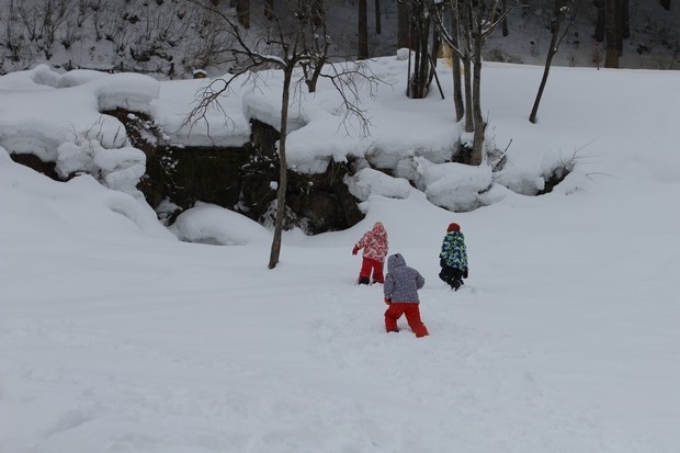 013_IMG_9934 013_IMG_9934