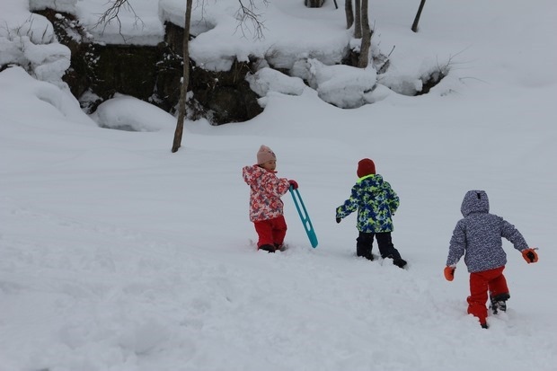 015_IMG_9933 015_IMG_9933