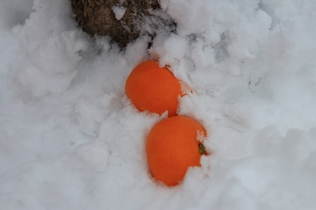 105_IMG_9969 105_IMG_9969