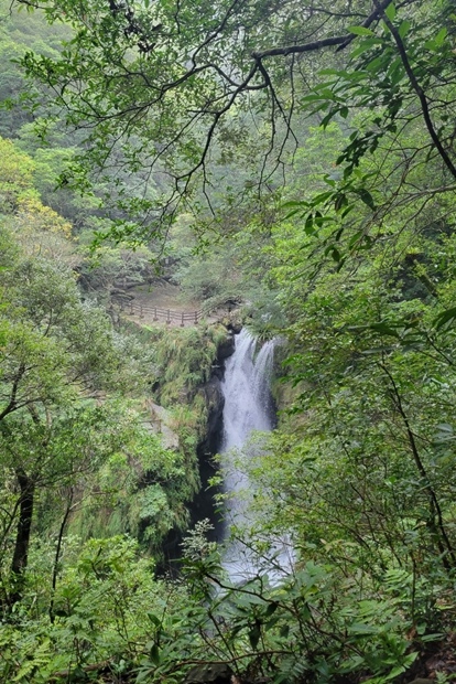 873_LINE_ALBUM_20221009 東滿步道_221010_110.jpg