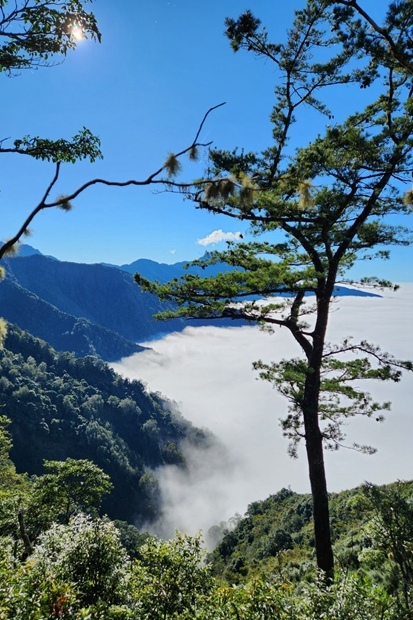 189_LINE_ALBUM_2022125_新竹五峰_比林山_大窩山_221206_79.jpg