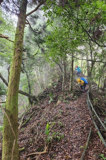 757_LINE_ALBUM_2022125_新竹五峰_比林山_大窩山_221206_38.jpg