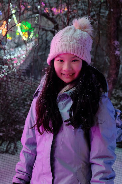 【韓國首爾玩雪】近郊玩雪之三 - 寧靜樹木園