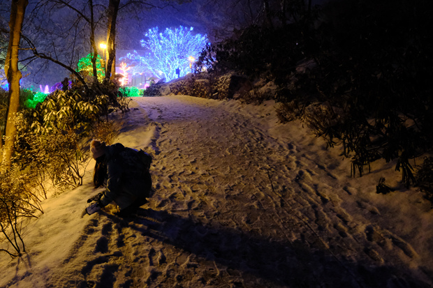 【韓國首爾玩雪】近郊玩雪之三 - 寧靜樹木園