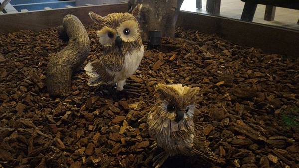 P_20170528_131045.jpg P_20170528_131045.jpg