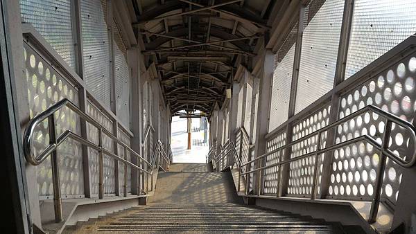 P_20170728_160842.jpg P_20170728_160842.jpg