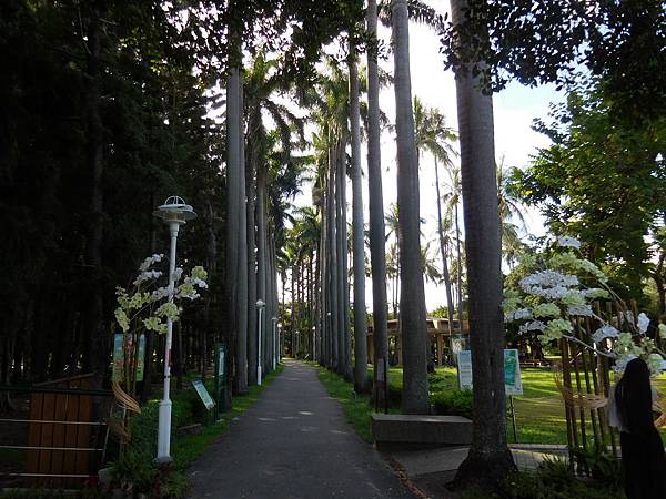 DSCN0001.JPG DSCN0001.JPG