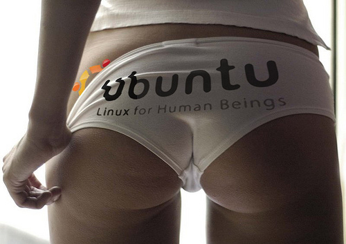 ubuntu linux.jpg