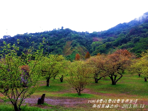 痞客~南投賞梅之旅-22