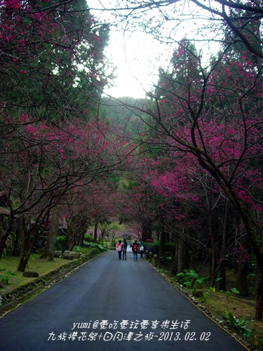 痞客-九族櫻花祭+日月潭之旅-44