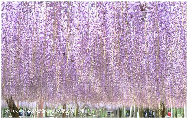 河內藤園 門司港 山內農場 日本北九州自助旅行6天day3 16 04 27 16 05 02 Yumi 愛吃愛玩愛享樂生活 痞客邦