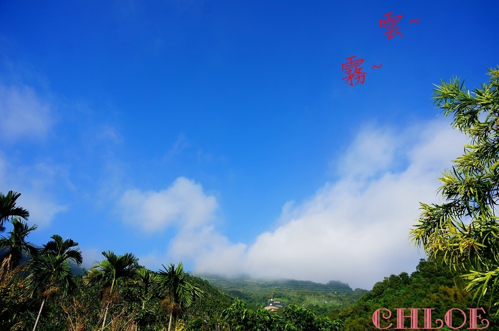 黃金森林54.jpg 黃金森林54.jpg