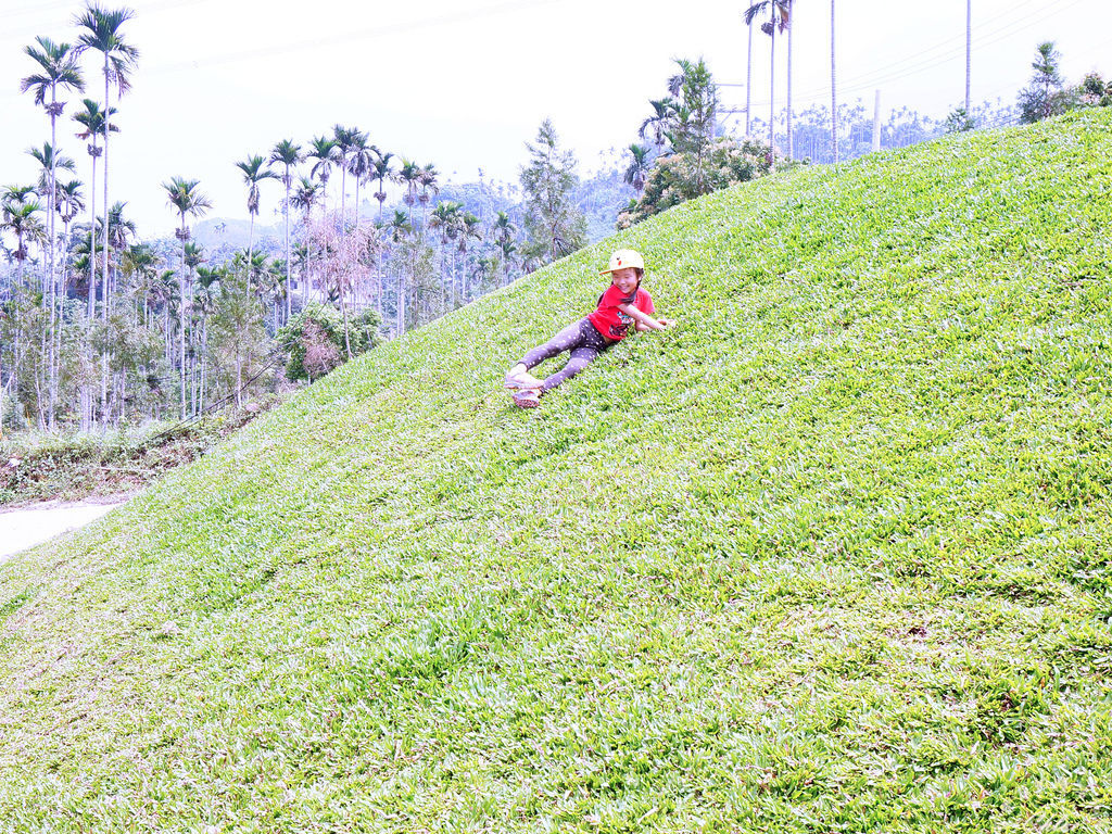 DSC03651_副本.jpg DSC03651_副本.jpg