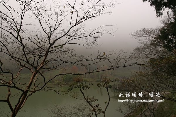 宜蘭 北橫明珠 明池 1 攝影 旅行 拈花惹草 Morris