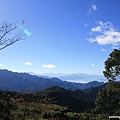 大雪山森林遊樂區 (11)