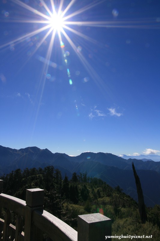 1200919278