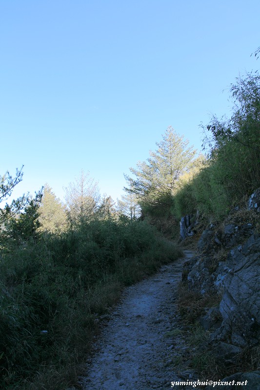 1200919608