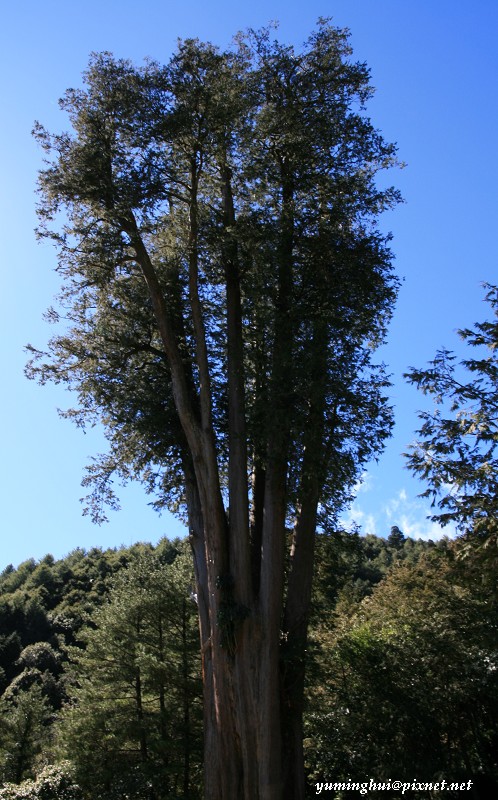 1201182067