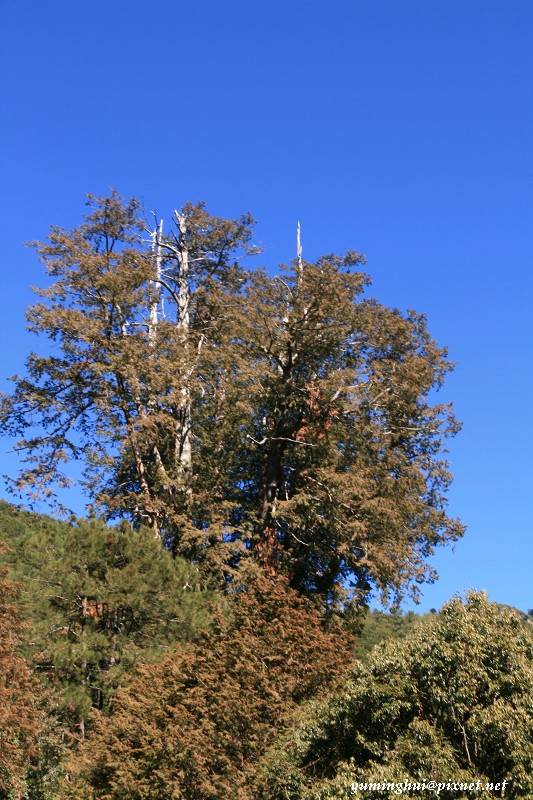 1201182072