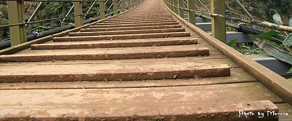南投竹山天梯 (8).jpg