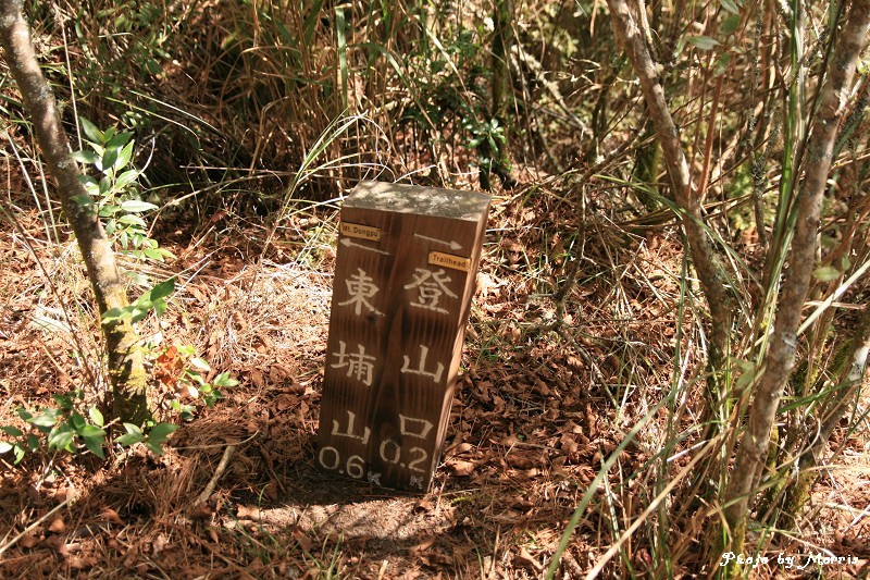 1203427385