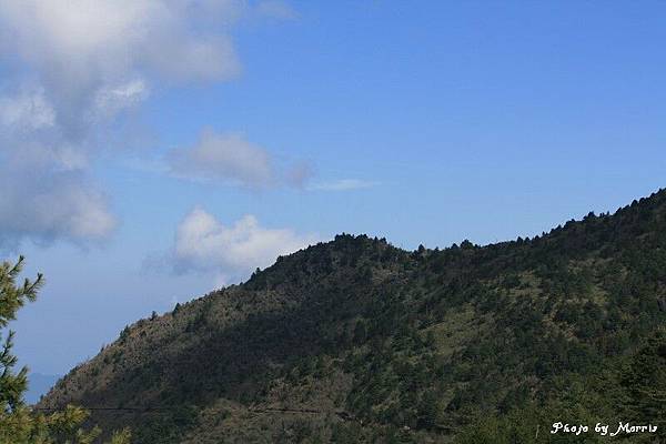 新中橫逍遙遊 (10).jpg