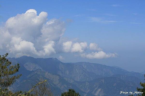 新中橫逍遙遊 (12).jpg