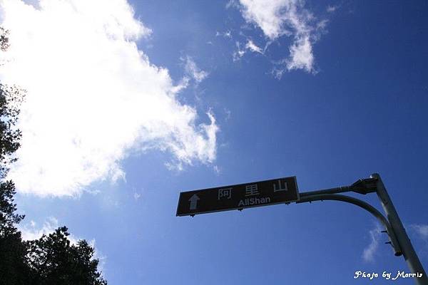 新中橫逍遙遊 (16).jpg