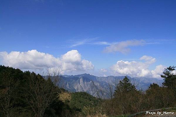 新中橫逍遙遊 (17).jpg