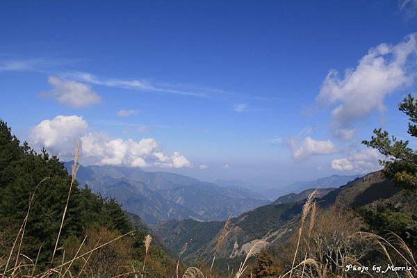 新中橫逍遙遊 (20).jpg