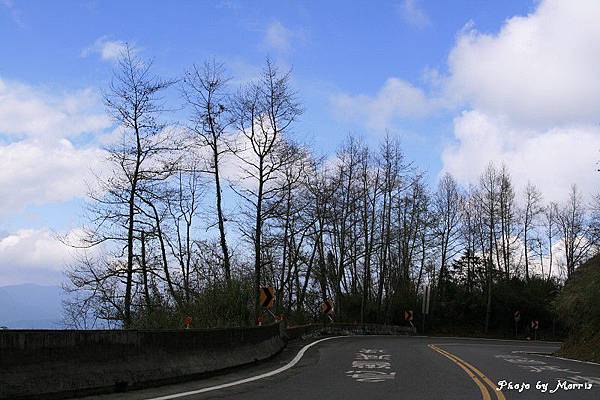 新中橫逍遙遊 (27).jpg