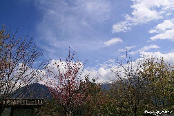 新中橫逍遙遊 (33).jpg