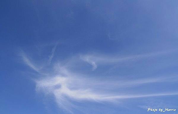 新中橫逍遙遊 (41).jpg