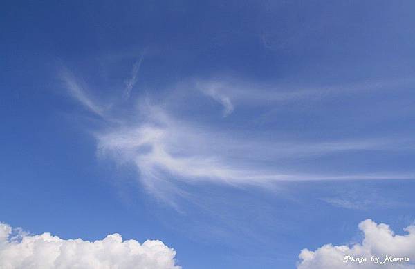 新中橫逍遙遊 (42).jpg